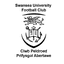 Футбольний клуб університету Свонсі logo