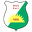 Home team logo