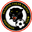 Home team logo