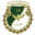 Home team logo