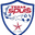 Home team logo