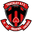 Home team logo
