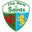 Home team logo