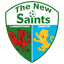 The New Saints FC logo