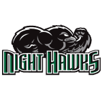 Thomas (Ga) Night Hawks logo