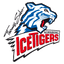 teamLogo