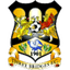 Three Bridges logo