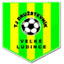ТJ Дружстевнік Вельке Людінце logo