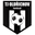 Home team logo