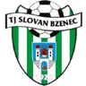 TJ Slovan Bzenec