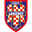 Home team logo