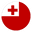 Home team logo