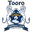 Home team logo