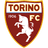 Torino logo