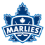 teamLogo