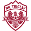 teamLogo