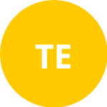 Troebinger E. logo