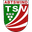 Home team logo