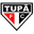 Home team logo