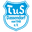Home team logo