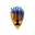 Home team logo