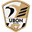 Home team logo