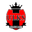 Home team logo