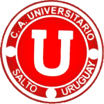 Університет Сальто logo
