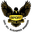 Home team logo