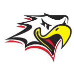 Vaasan Sport logo