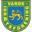 Home team logo