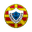 Home team logo