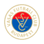 Vasas II logo