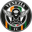 Home team logo