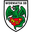 Home team logo