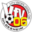 VfV Hildesheim logo
