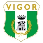 A.S.D. Vigor Lamezia Calcio 1919 logo