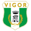 A.S.D. Vigor Lamezia Calcio 1919 logo