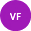 Viking FK logo