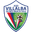 Home team logo