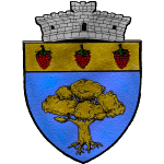 Voinţa 2009 Gornet