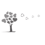 Volley Amriswil logo