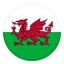 Wales logo