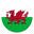 Home team logo