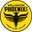 Home team logo