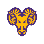 home team logo
