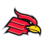 home team logo