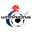 Home team logo