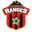 Away team logo