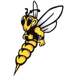 Wisconsin-Superior Yellowjackets